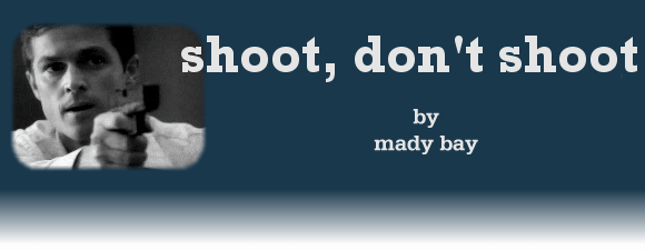 SHOOT. DON'T SHOOT by Mady Bay