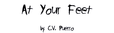 AT YOUR FEET by C.V. Puerro