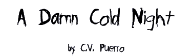 A DAMN COLD NIGHT by C.V. Puerro