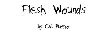 FLESH WOUNDS by C.V. Puerro