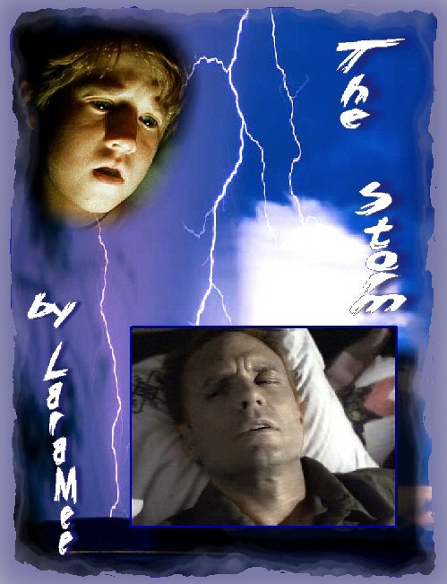 THE STORM by LaraMee