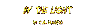 BY THE LIGHT by C.V. Puerro