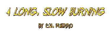 A LONG, SLOW BURNING by C.V. Puerro