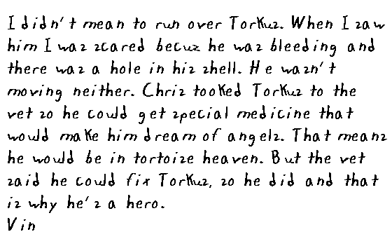 I didn't mean to run over Torkus. When I saw him I was scared cause he was bleeding and there was a hole in his shell. He wasn't moving, neither. Chris tooked Torkus to the vet so he could get special medicine that would make him dream of angels. That means he would be in turtle heaven. But the vet said he could fix Torkus, so he did, and that's why he's a hero. Vin