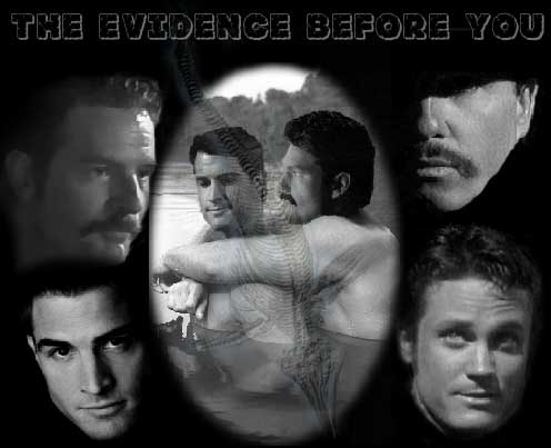 THE EVIDENCE BEFORE YOU