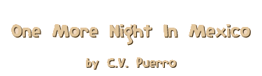 ONE MORE NIGHT IN MEXICO by C.V. Puerro