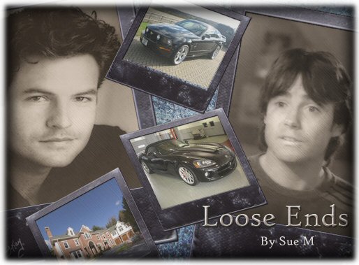 Loose Ends by Sue M