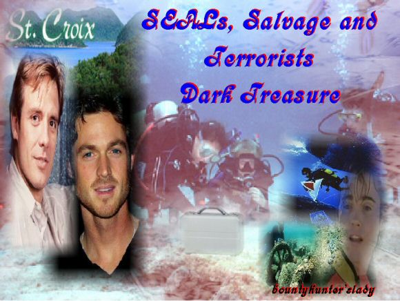SEALs, Salvage and Terrorists