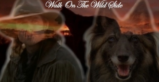 Walk
  On The Wild Side