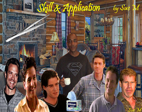 Skill and Application by Sue M