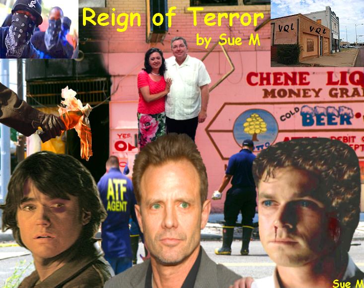 Reign of Terror by Sue M