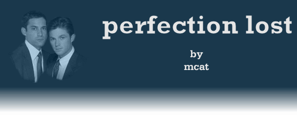 PERFECTION LOST by mcat