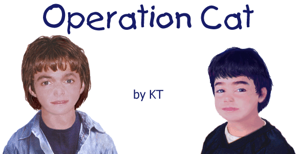 OPERATION CAT by KT