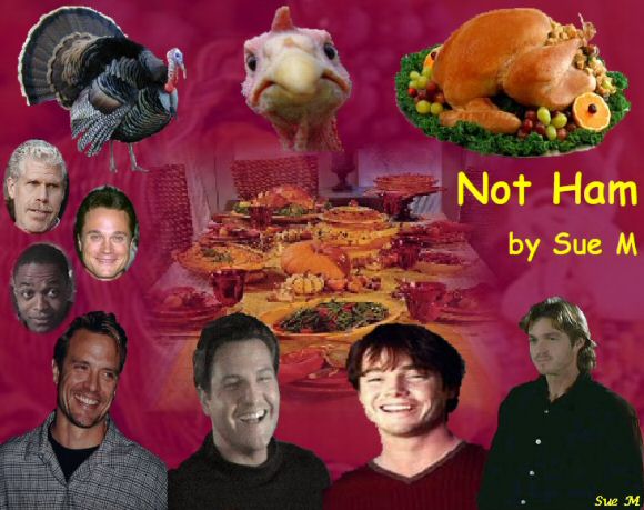 Not Ham by Sue M.